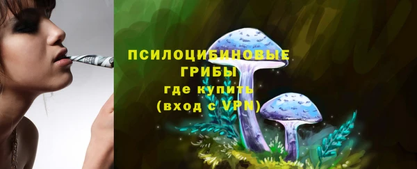марки nbome Богородицк