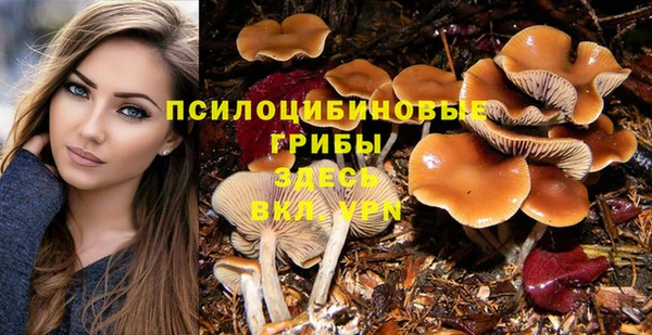 мяу мяу кристалл Богданович