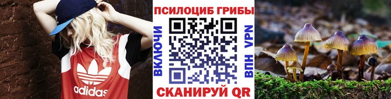 Псилоцибиновые грибы Magic Shrooms Кимры